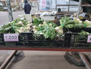 七飯町　にじいろファーム　店内　白かぶ