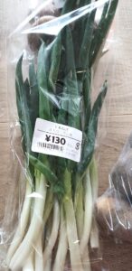 七飯町　にじいろファーム　千本ねぎ