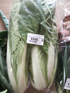 七飯町　にじいろファーム タイニーシュシュ　