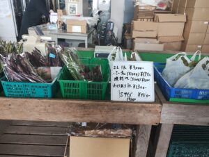 いもっこ市　机の上 アスパラ　並んでいる 