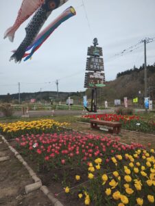 木古内　サラキ岬　チューリップ　こいのぼり
