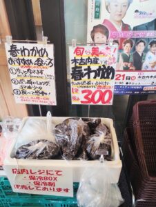 木古内　道の駅　みそぎの郷きこない　春わかめ　ポップ
