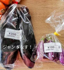 ジャンボなすと小ナス