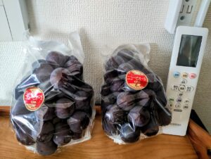 ニューピオーネ　リモコンと並べた写真