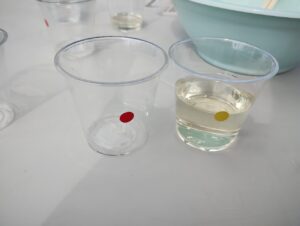 有料試飲2種類