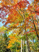 大沼国際セミナーハウス 紅葉風景