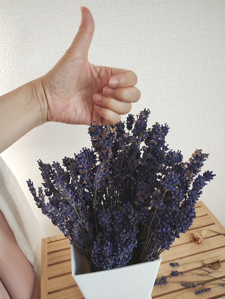 モアクト　グッドポーズ